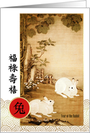 Chinese Year of the Rabbit Greeting in Chinese Two Rabbits Painting card