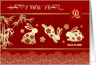 Chinese New Year of...