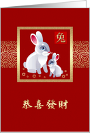 Chinese Year of the Rabbit in Chinese Two Rabbits card