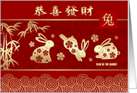 Happy Chinese New Year of the Rabbit - Funny Rabbit card