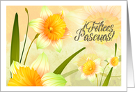 Felices Pascuas - Happy Easter in Spanish - Spring Daffodil Blooms card