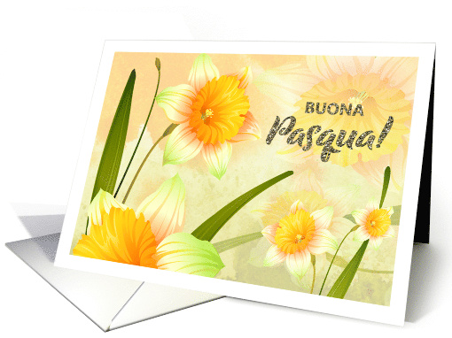 Buona Pasqua - Happy Easter in Italian - Spring Daffodil Blooms card