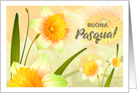 Buona Pasqua - Happy Easter in Italian - Spring Daffodil Blooms card