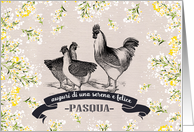 Buona Pasqua. Vintage Rooster and Hens card