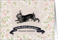 Felices Pascuas. Vintage Easter Bunny card
