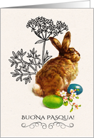 Buona Pasqua. Easter card in Italian. Vintage Easter Bunny card