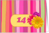 14th Birthday Party Invitation. Colorful Design card