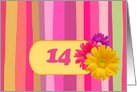 14th Birthday Party Invitation. Colorful Design card