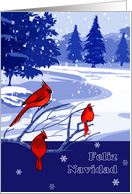 Feliz Navidad. Spanish Christmas Card with Winter Scenery card
