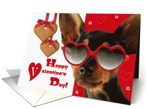 Happy Valentine's Day. Funny Dog with Cookies card (895935)