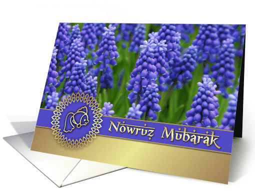 Happy Norooz. Blue Hyacinths Persian New Year card (909166)
