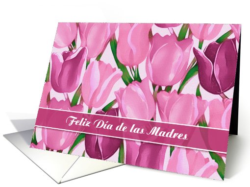 Feliz Da de las Madres. Mother's Day Card in Spanish card (918148)