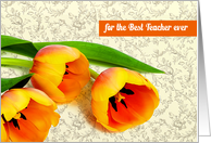 For the Best Teacher ever. Spring Tulips Teacher Appreciation card