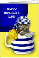 Happy Mother’s Day. Funny Kitten card