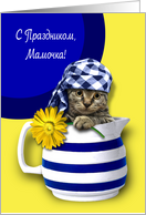 Mother’s Day Card in Russian. Funny Kitten card