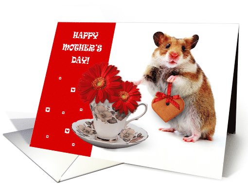 Happy Mother's Day. Funny Hamster card (919917)