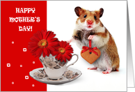 Happy Mother’s Day. Funny Hamster card