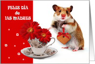 Feliz Da de las Madres. Mother’s Day Card in Spanish card