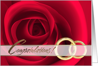 Happy Anniversary. Red Roses card
