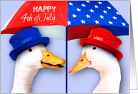 Happy 4th of July Funny Ducks card