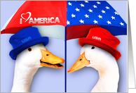 Happy 4th of July from our home to yours Funny Ducks card