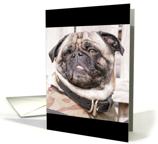Mr. Big 1 card (619269)