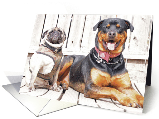 Mr. Big & Diva 2 card (619276)