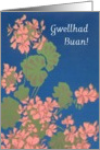 Get Well Card, Welsh Greeting, Pink Geranium card