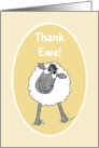 Thank You with Fun Sheep and Thank Ewe Blank Inside card