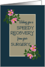 Get Well from Surgery with Pink Dog Roses on Blue and Taupe card