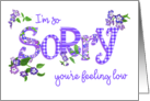 Sorry You’re Feeling Low with Phlox Flowers and Word Art card