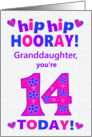 For Granddaughter 14th Birthday Hip Hip Hooray Hearts and Flowers card