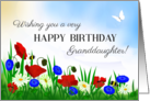 For Granddaughter’s Birthday With Poppies, Daisies and Cornflowers card