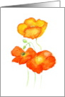 For Friend with Watercolour Icelandic Poppies card