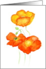Thank You Blank Inside Bright Orange Icelandic Poppies in Watercolour card