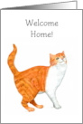 Welcome Home with Ginger and White Cat card