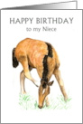 Niece’s Birthday Greetings with Young Foal Blank Inside card