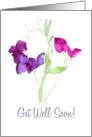Get Well Soon Wishes Watercolour Sweet Peas Blank Inside card