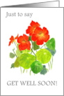Get Well Soon Greetings with Bright Red Nasturtiums card