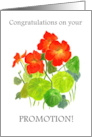 Promotion Congratulations with Bright Red Nasturtiums card