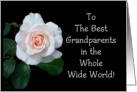 Grandparents Day Card, Pink Rosebud card
