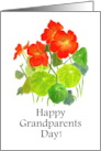 Grandparents Day Scarlet Watercolour Nasturtiums card