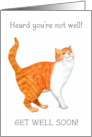 Get Well Wishes with Ginger and White Cat Blank Inside card