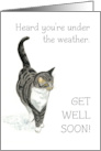 Get Well Wishes with Cute Grey and White Tabby Cat card