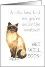 Get Well Soon Wishes with Birman Cat card