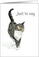 Just to Say with Grey and White Tabby Cat Blank Inside card