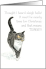 Christmas Greetings with fun Grey Tabby Cat Blank Inside card