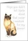 Birman Cat Christmas Card