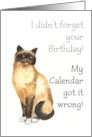 Ccute Birman Cat Blank Inside card