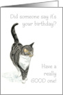Birthday with Grey Tabby and White Cat Blank Inside card